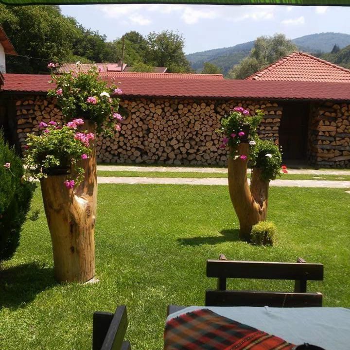 Photo of Others in Ribaritsa
