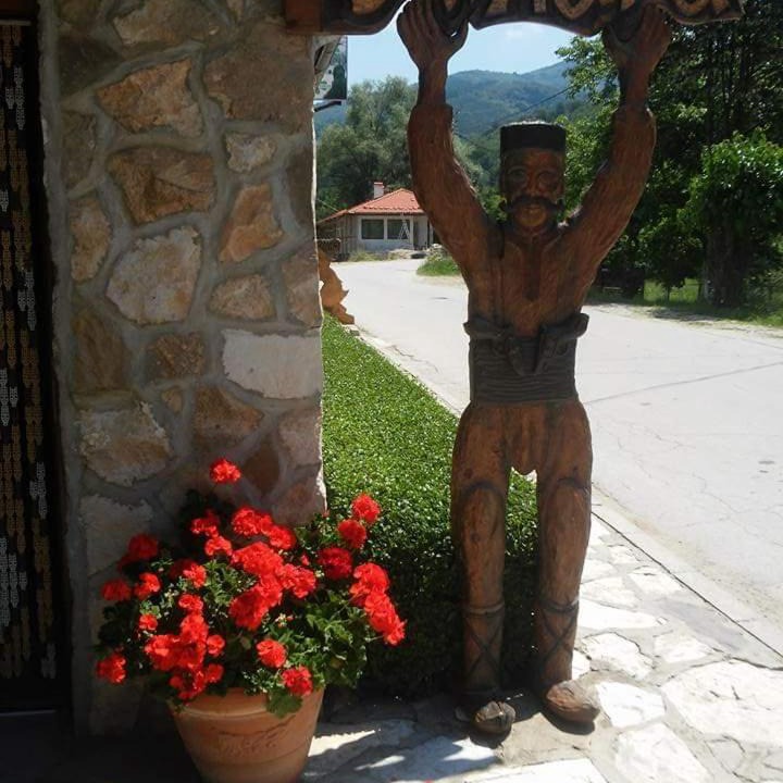 Photo of Others in Ribaritsa