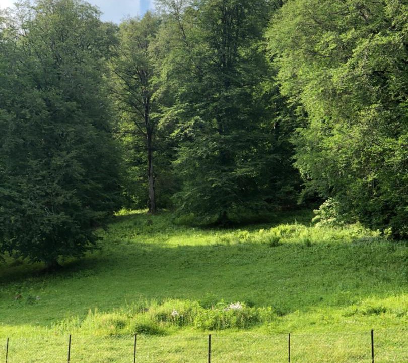 Photo of Outdoor in Bakuriani