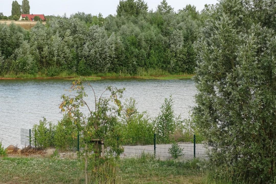 Photo of Others in Grossposna