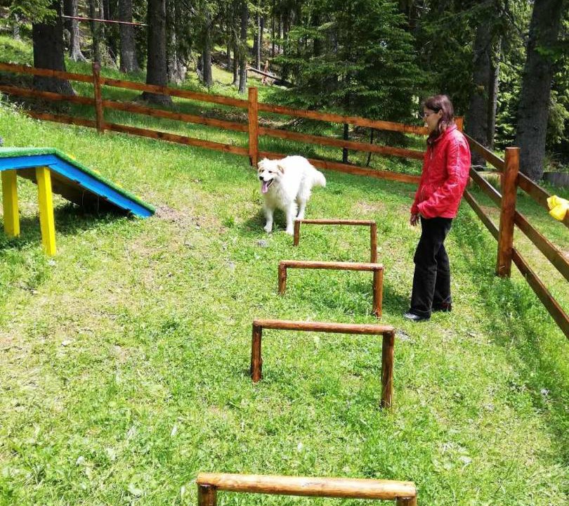 Photo of Others in Pamporovo