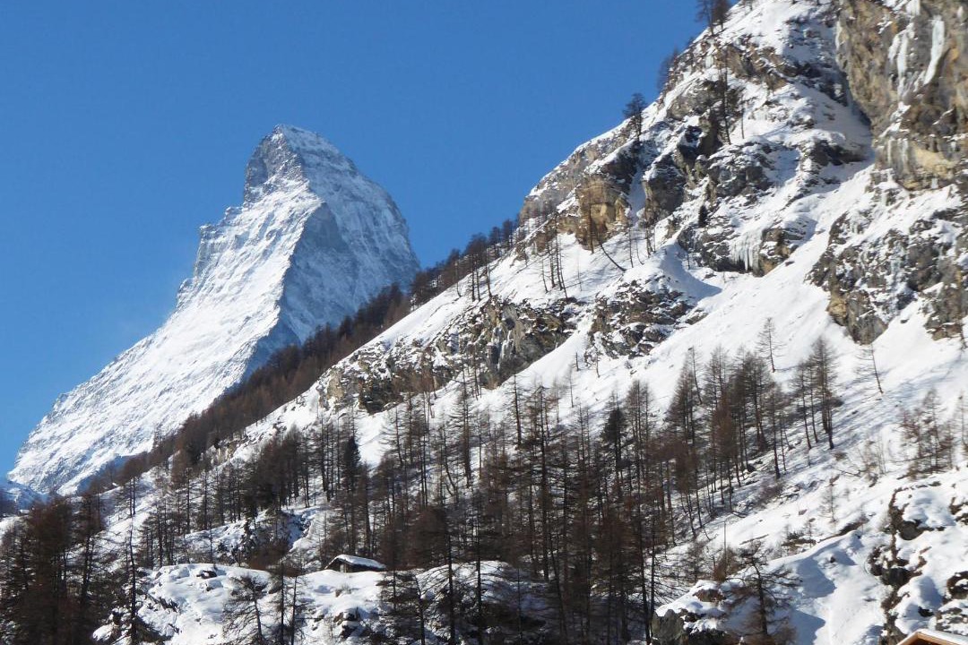 Photo of Others in Zermatt City Centre