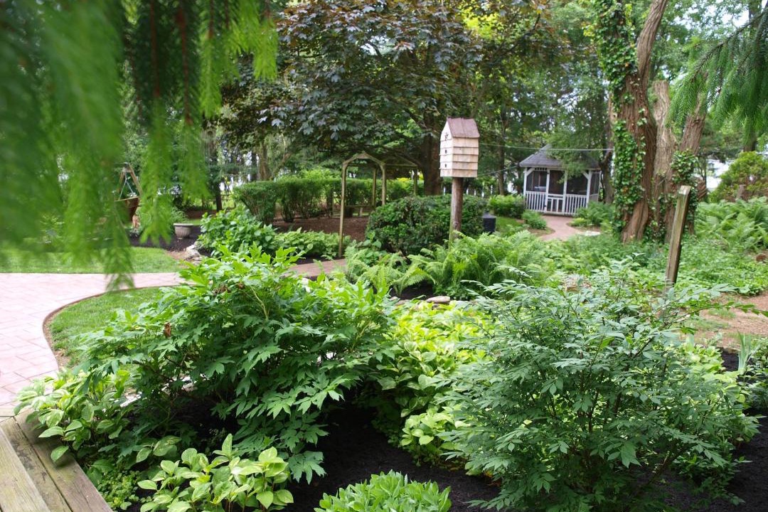 Photo of Outdoor in Palmyra