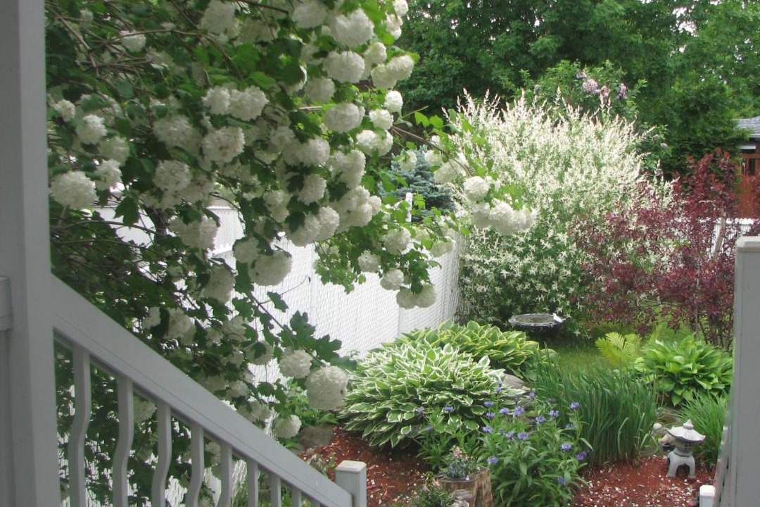 Photo of Patio Balcony in Granby