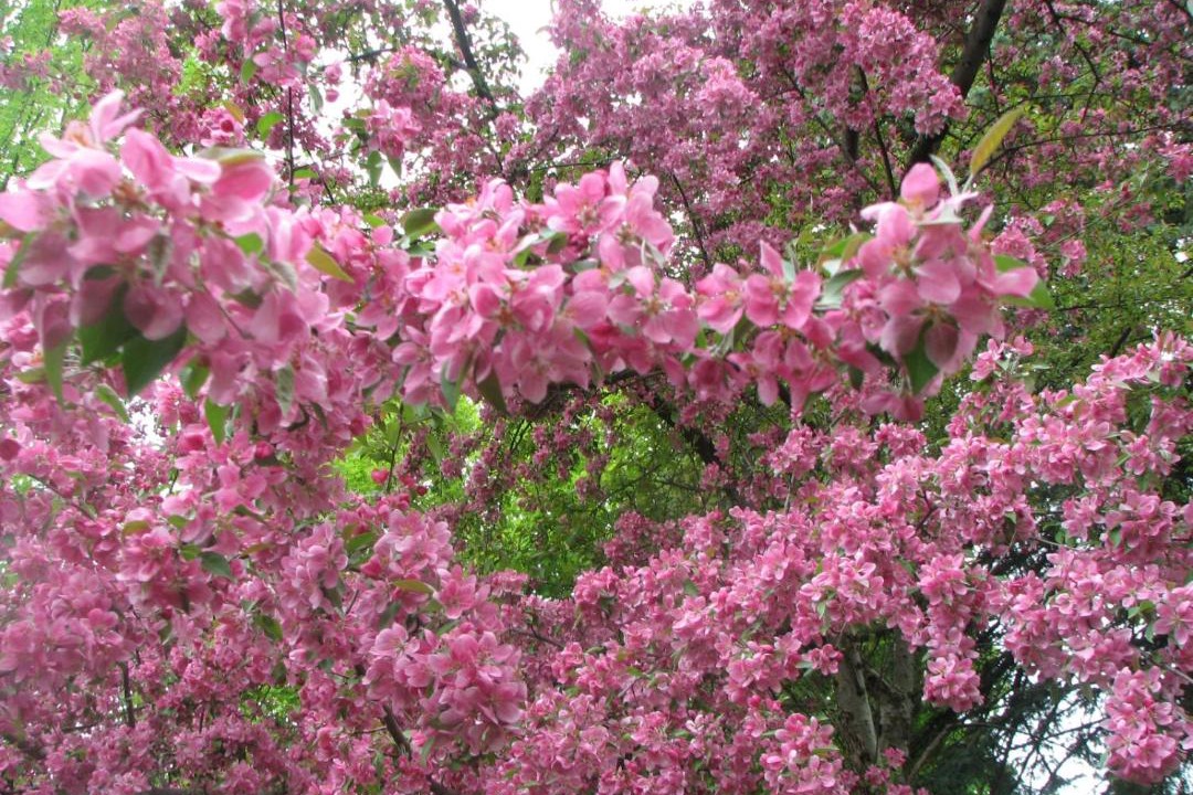 Photo of Outdoor in Granby