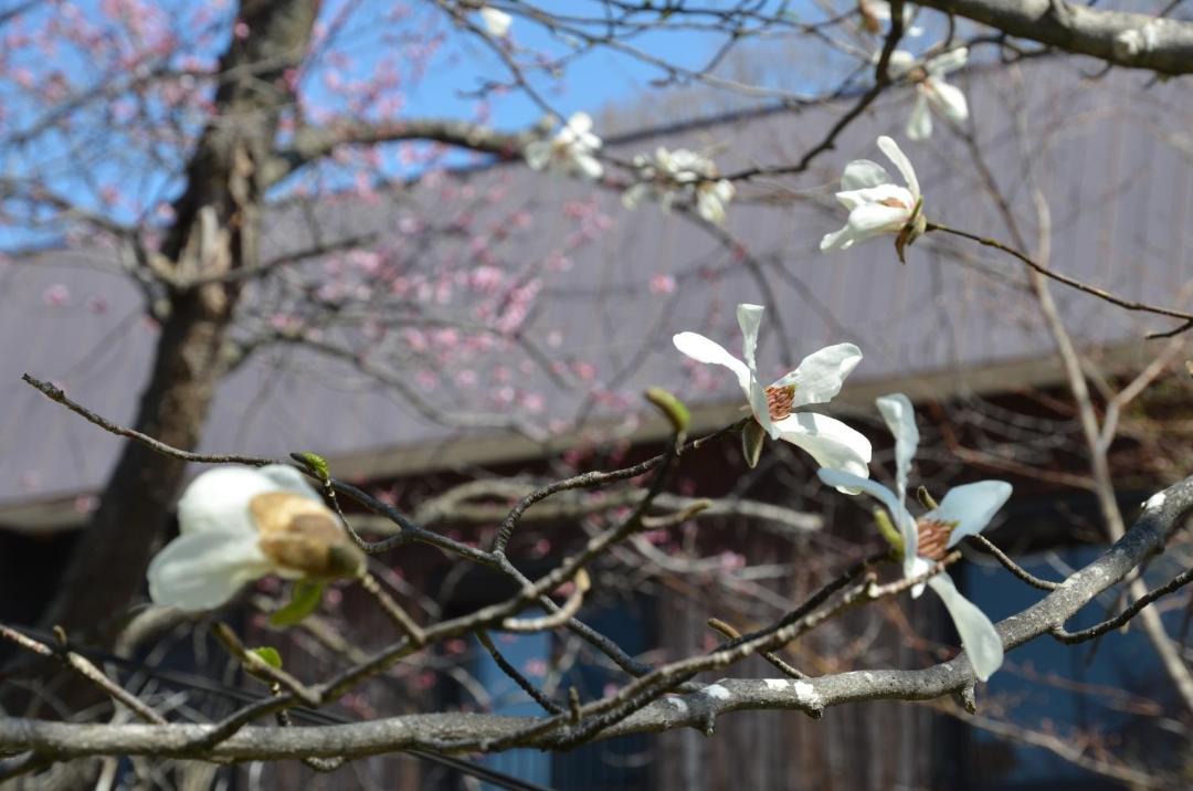 Photo of Outdoor in Kawayu Onsen