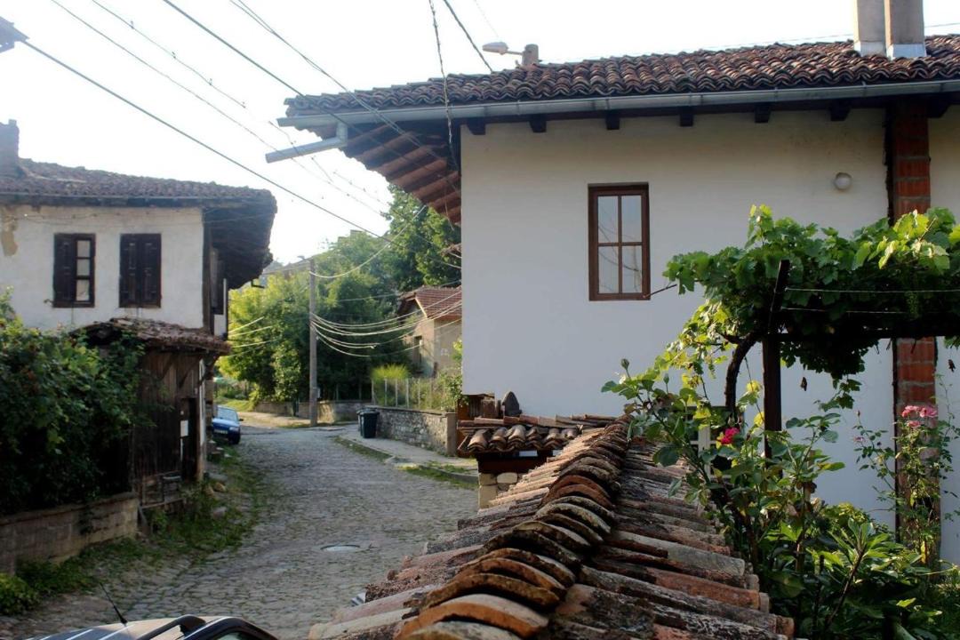 Photo of Others in Elena