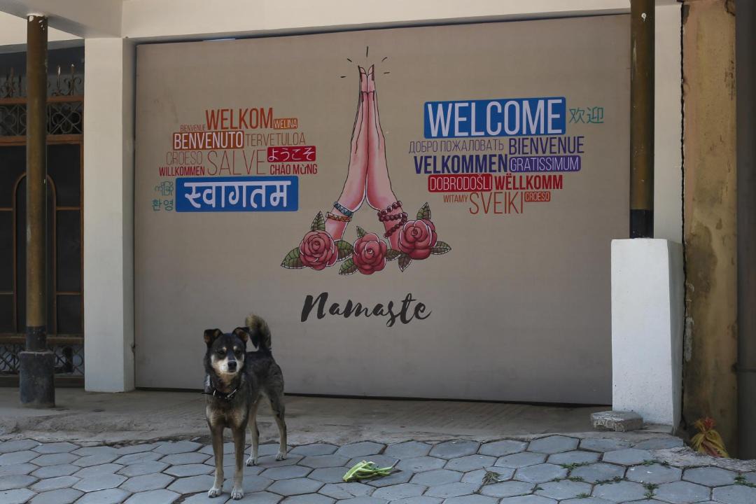 Photo of Others in Kathmandu