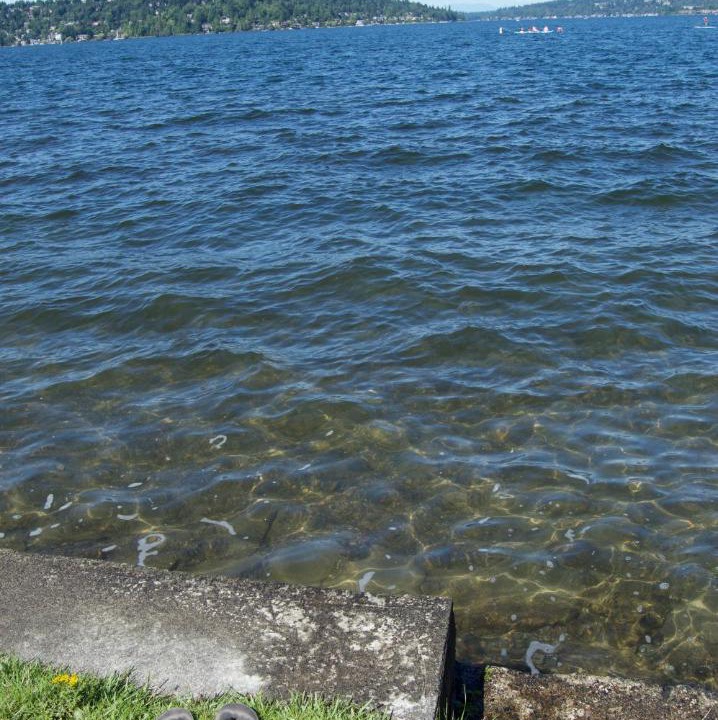 Photo of Others in Lakeridge