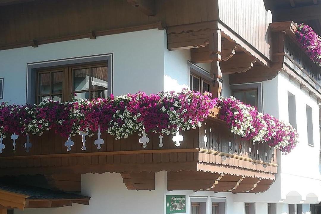 Photo of Others in Vorderlanersbach