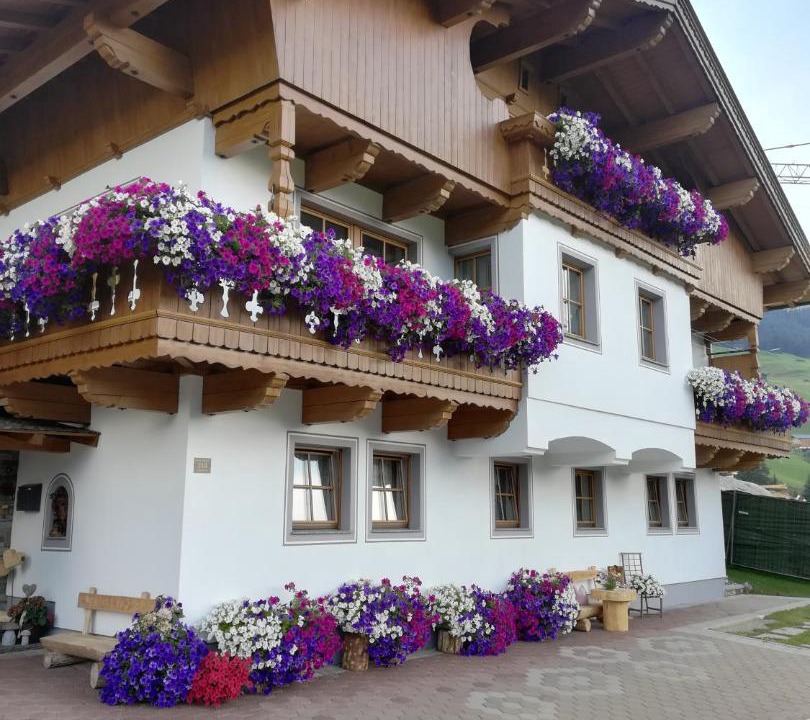 Photo of Others in Vorderlanersbach