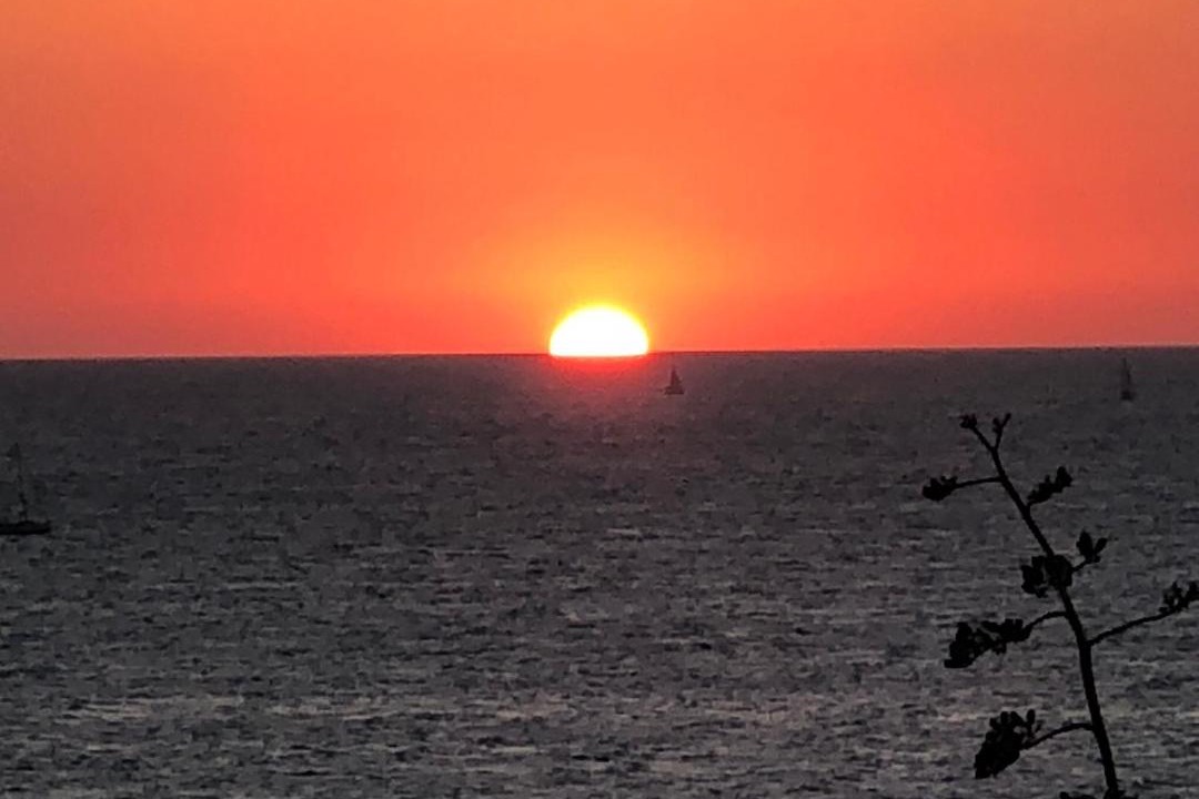 Photo of Outdoor in Tel Aviv Promenade