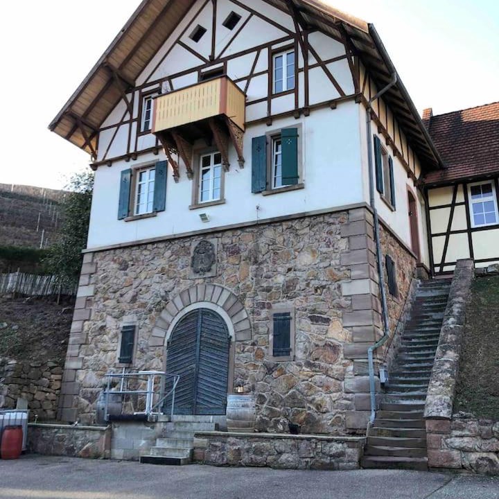 Photo of Others in Durbach