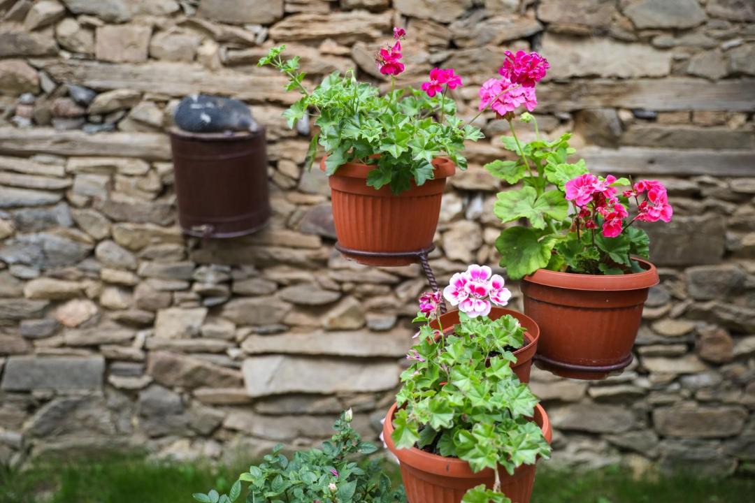 Photo of Patio Balcony in Leshten
