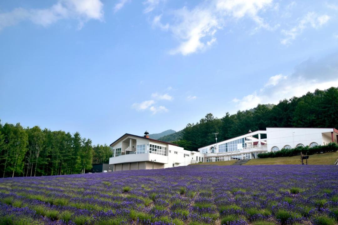 Photo of Others in Shimanoshita