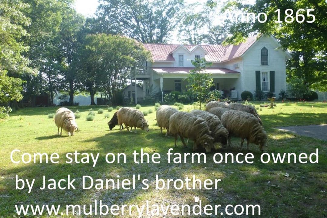 Photo of Others in Mulberry