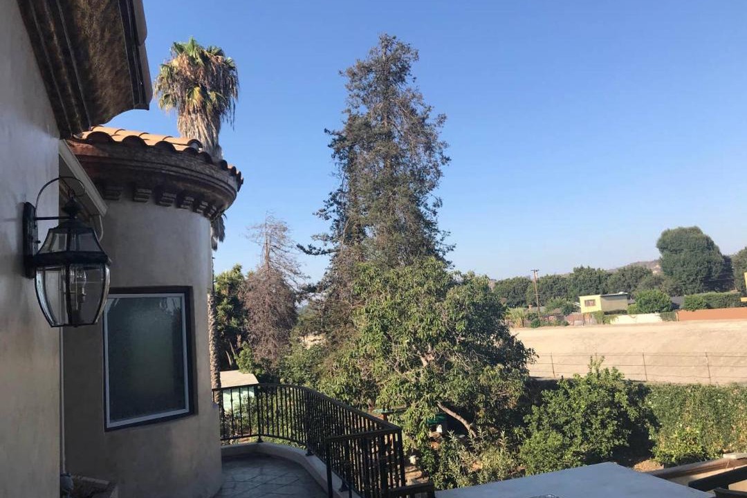 Photo of Others in Del Rey