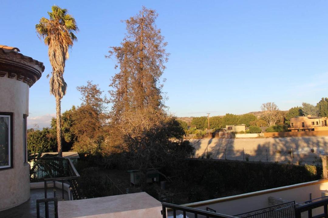 Photo of Others in Del Rey