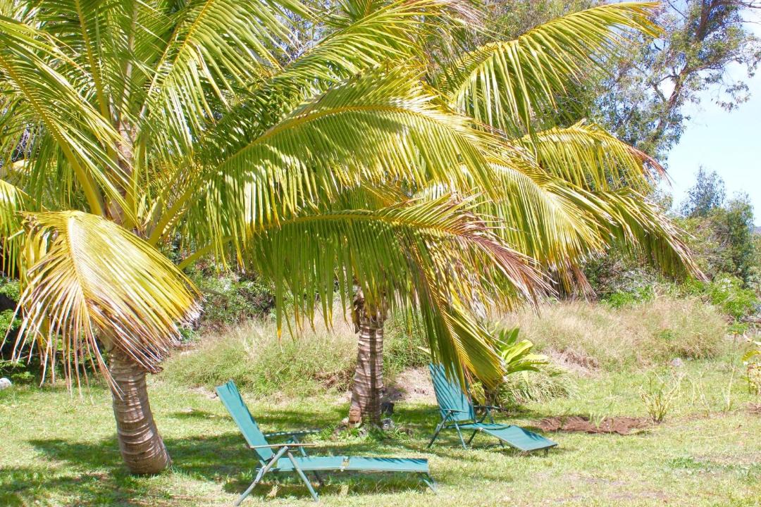 Photo of Outdoor in Hanga Roa