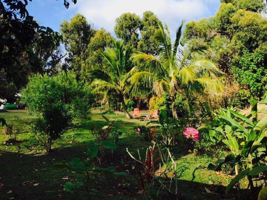 Photo of Outdoor in Hanga Roa