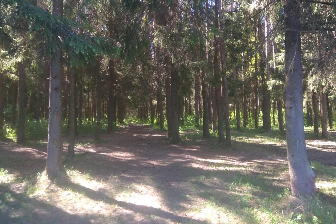 Photo of Outdoor in Sergiyev Posad