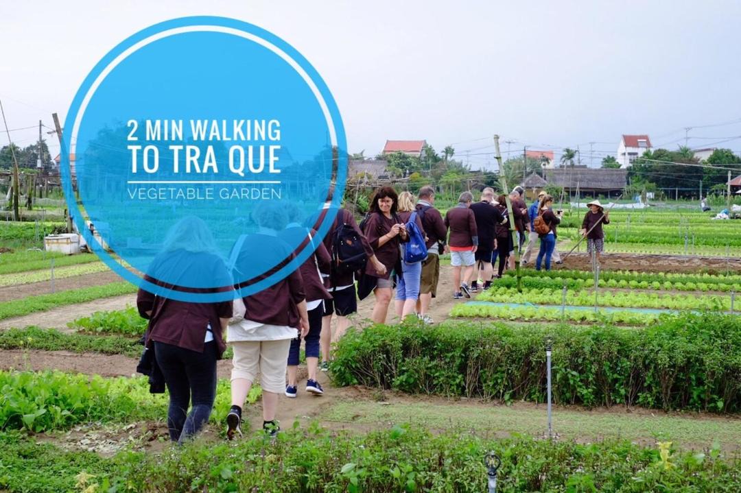 Photo of Others in Tra Que Vegetable Village