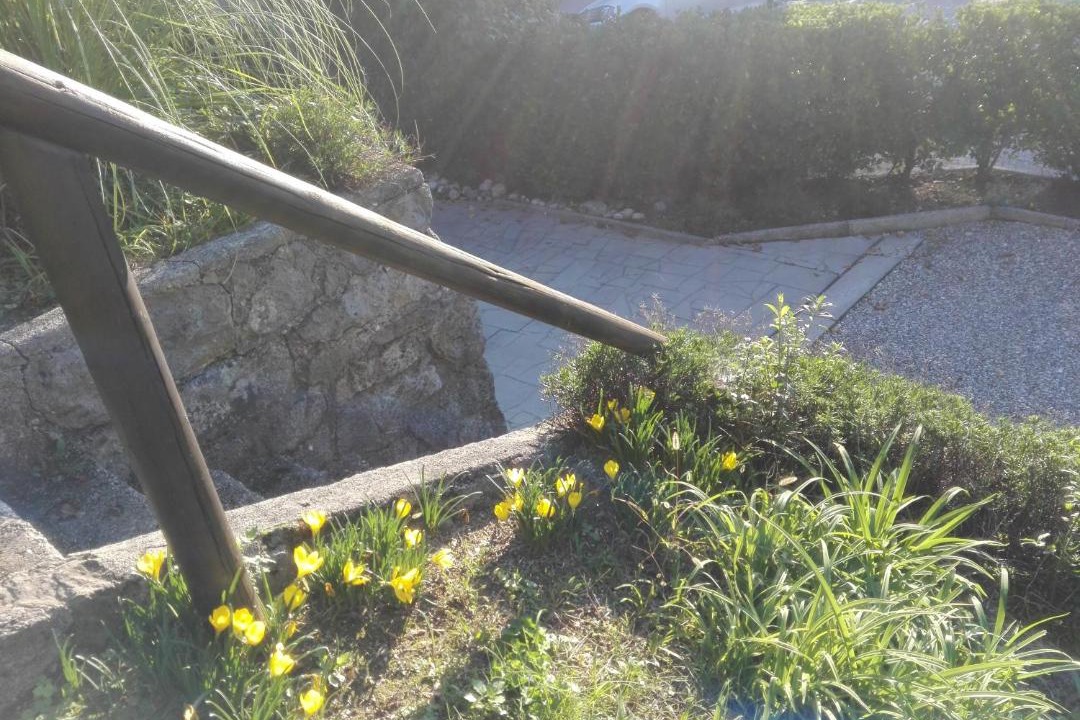 Photo of Others in Cividale del Friuli