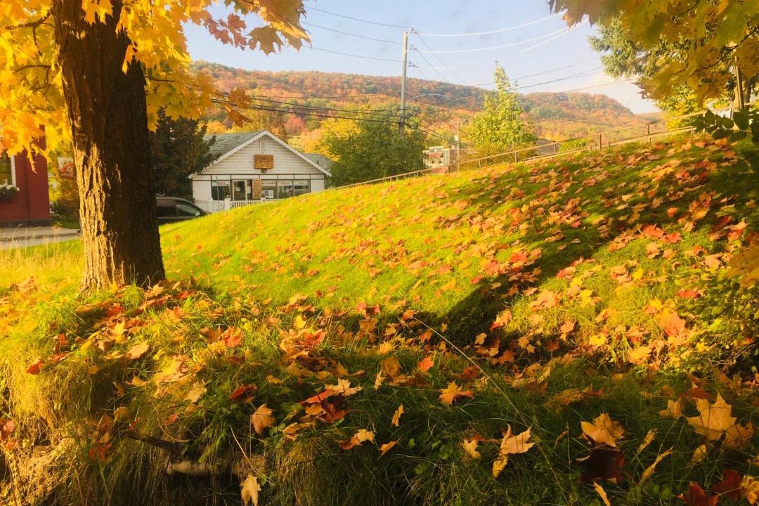 Photo of Others in North Hatley