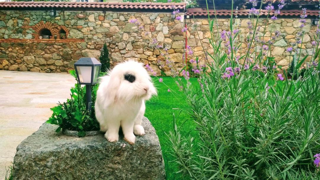 Photo of Outdoor in Kalofer