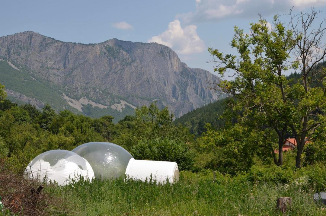 Photo of Others in Vratsa