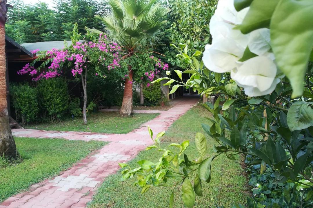 Photo of Buildings in Cirali