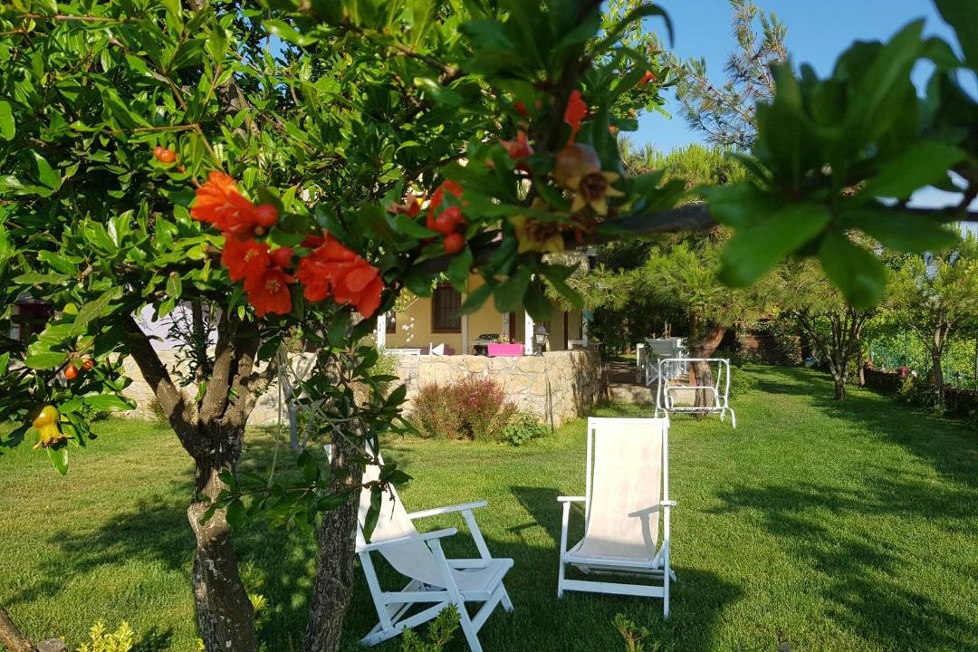 Photo of Others in Bozcaada
