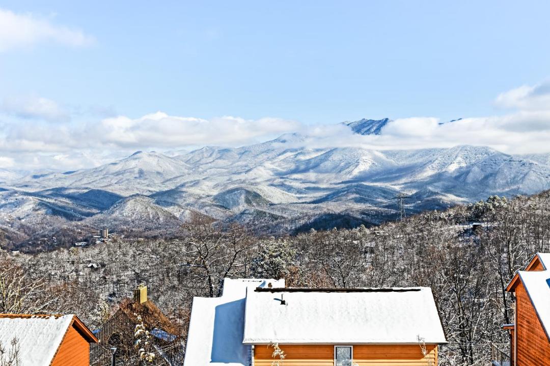 Photo of Others in Chalet Village