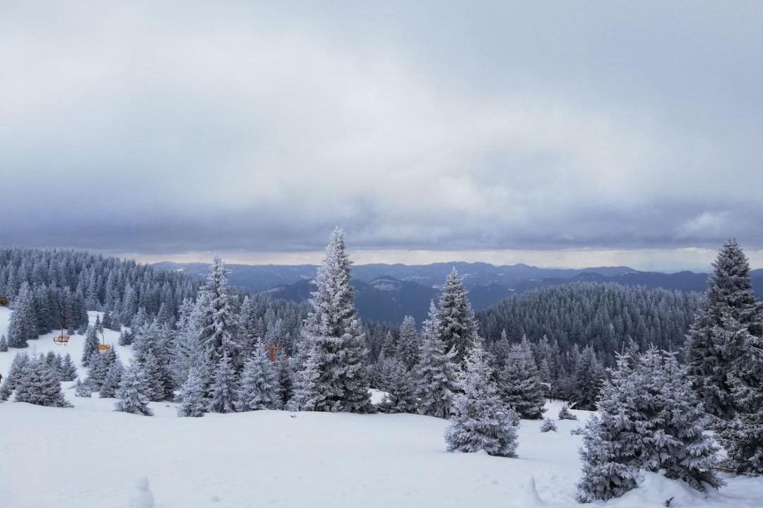 Photo of Others in Pamporovo