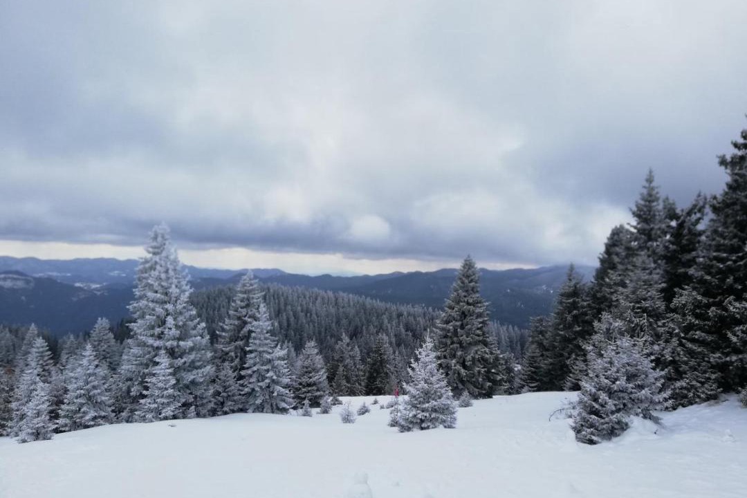 Photo of Others in Pamporovo