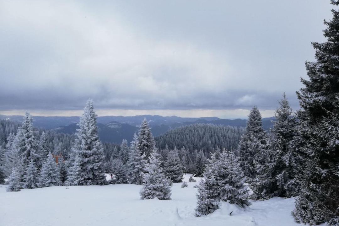 Photo of Others in Pamporovo