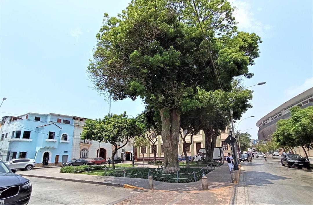Photo of Others in Santa Beatriz