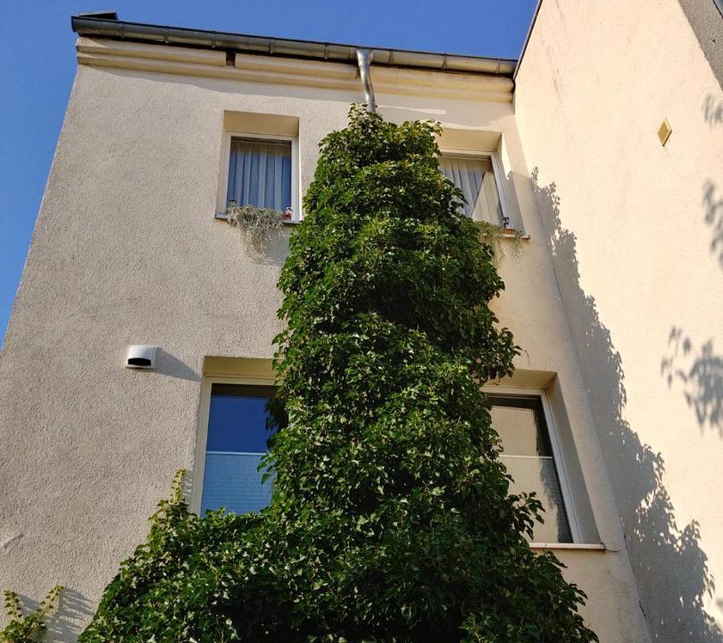 Photo of Others in Gohlis-Sud