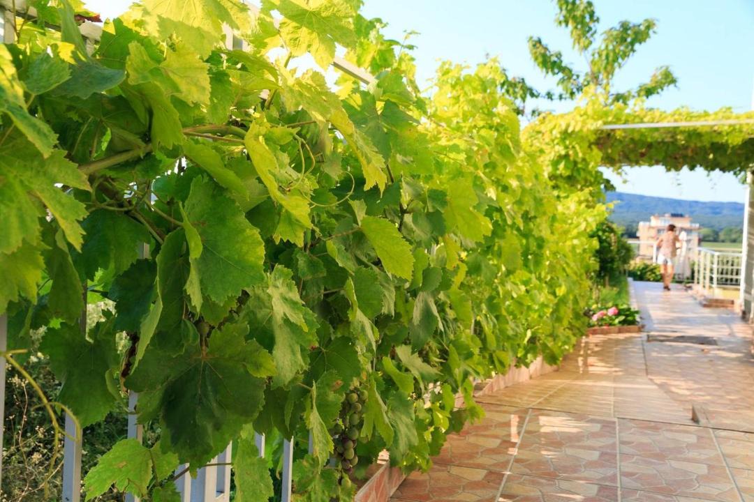 Photo of Outdoor in Primorsko