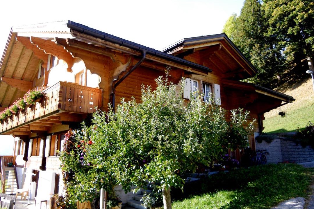 Photo of Others in Grindelwald