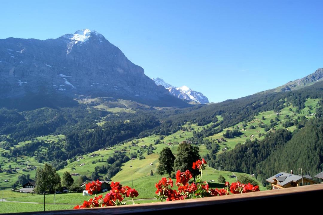 Photo of Outdoor in Grindelwald