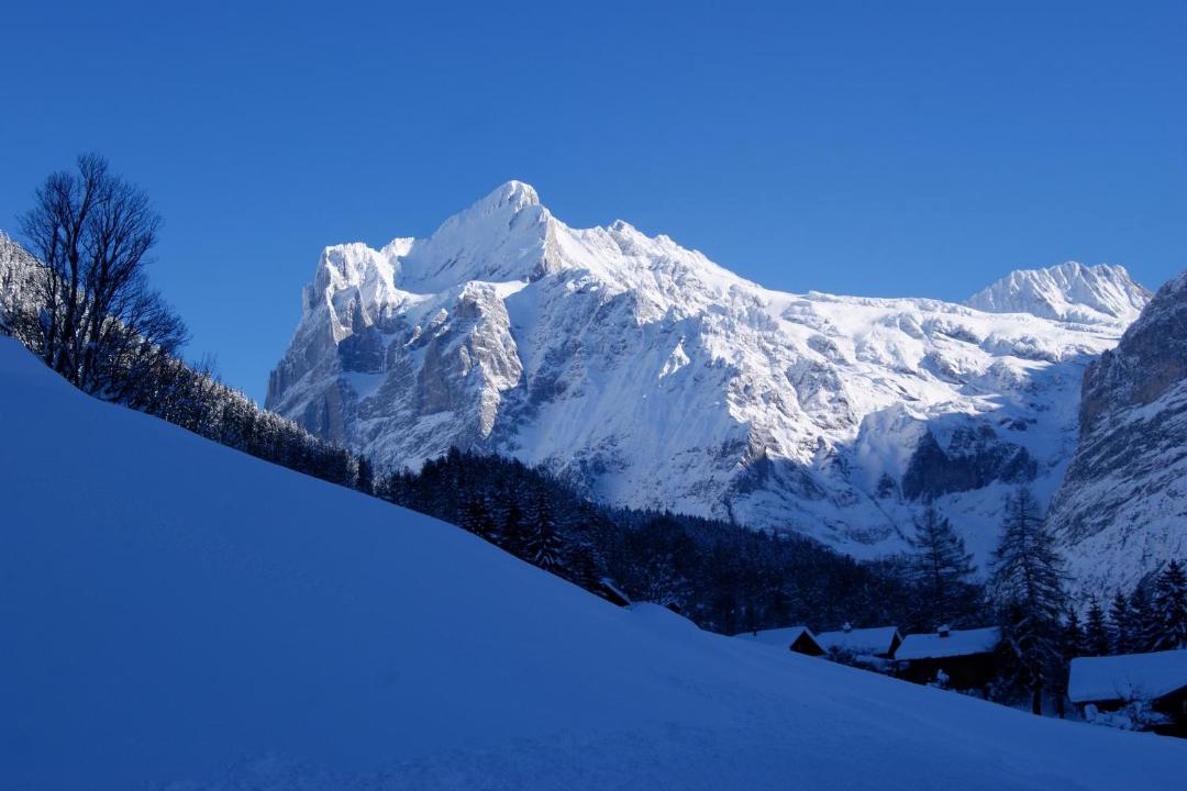 Photo of Others in Grindelwald