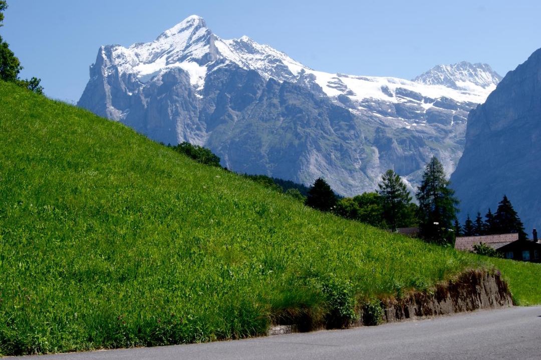 Photo of Others in Grindelwald