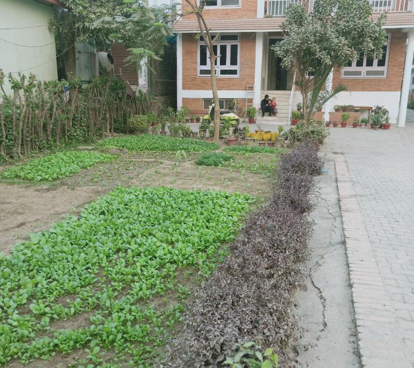 Photo of Outdoor in Lumbini