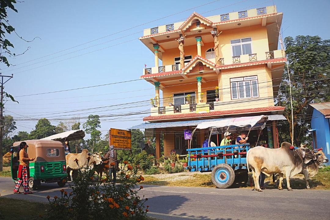 Photo of Others in Sauraha