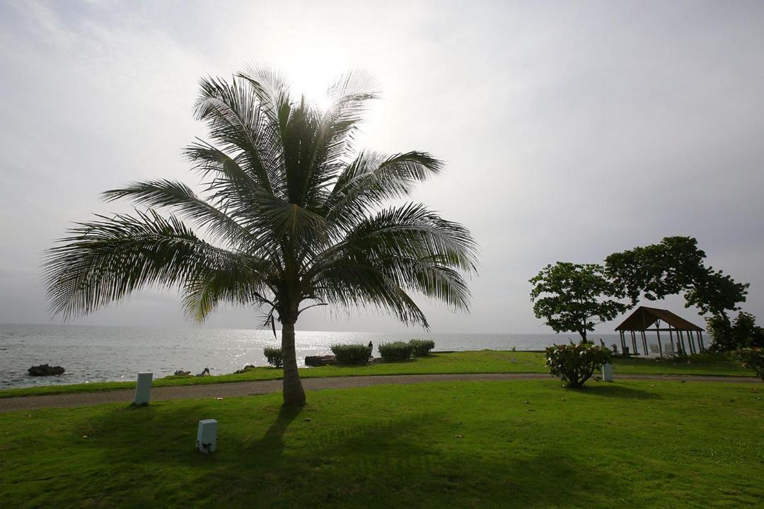Photo of Outdoor in Orange Bay