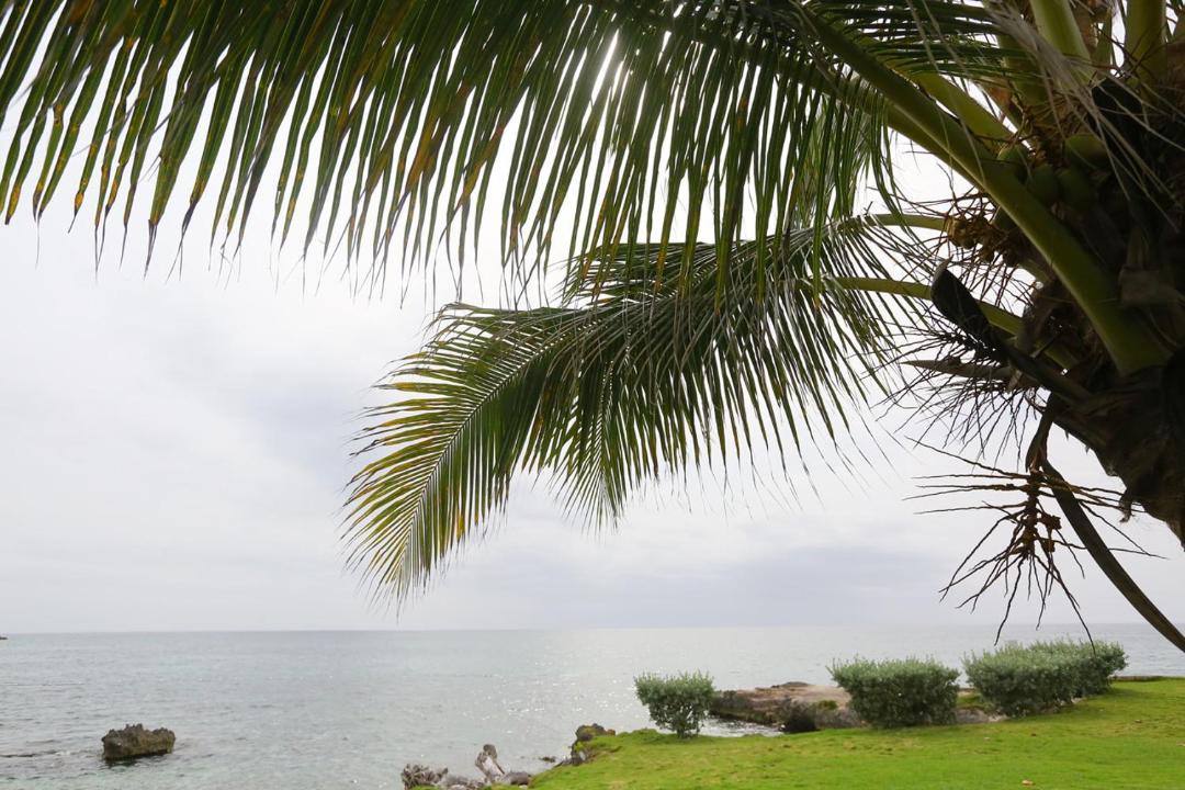 Photo of Outdoor in Orange Bay