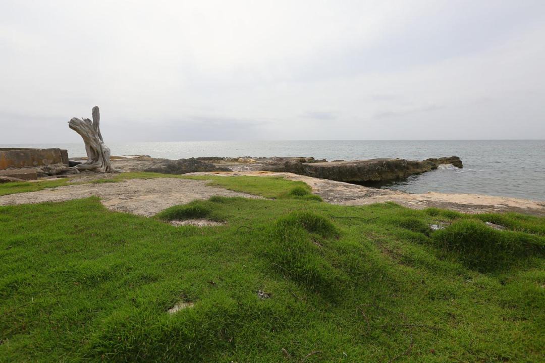 Photo of Outdoor in Orange Bay
