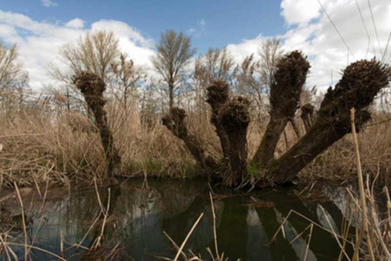 Photo of Outdoor in Cumlosen