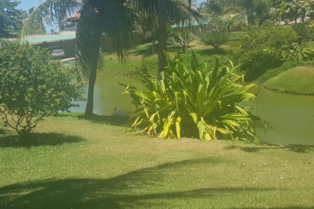Photo of Others in Prainha
